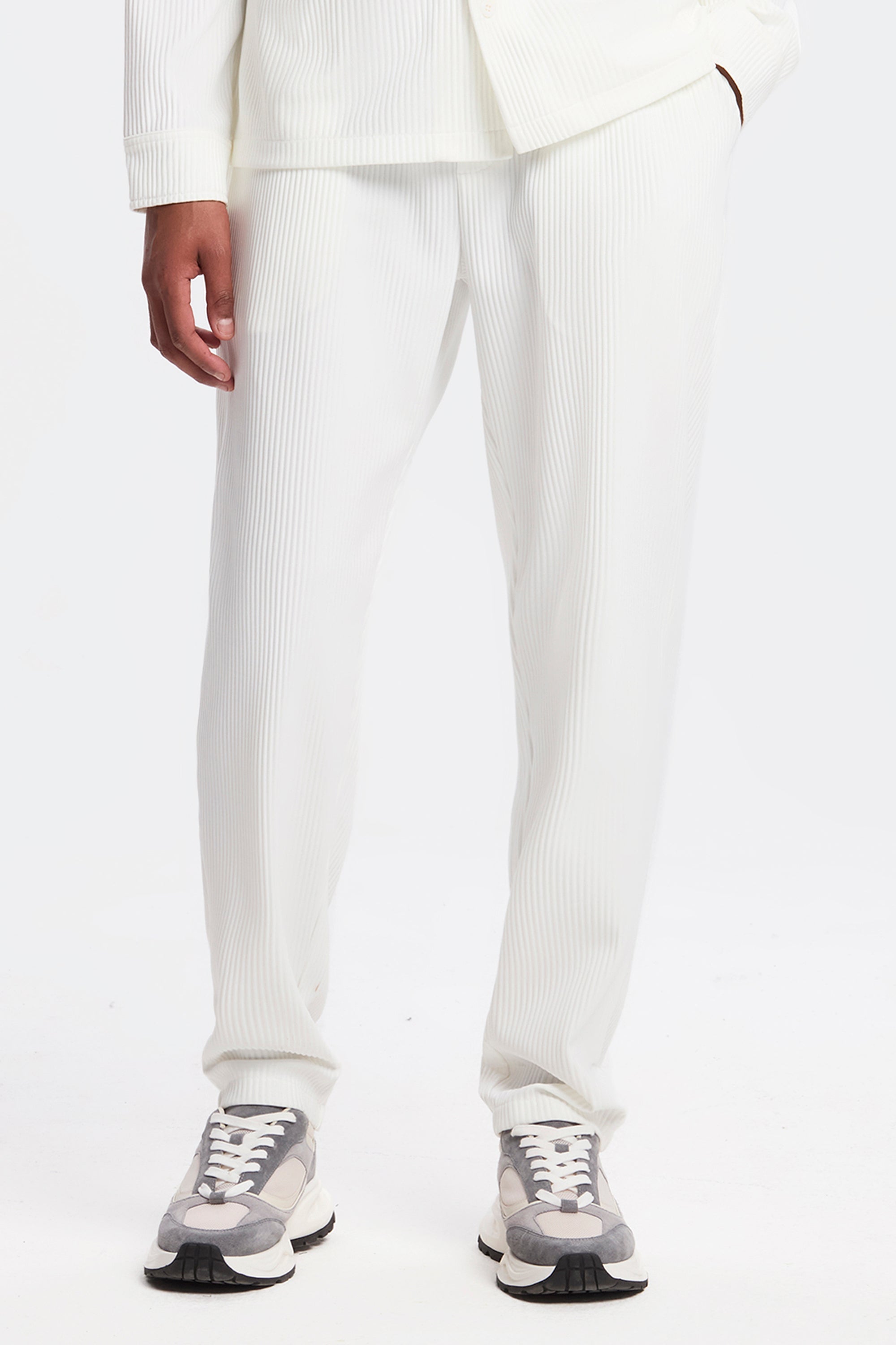 THE PLEATED TROUSERS